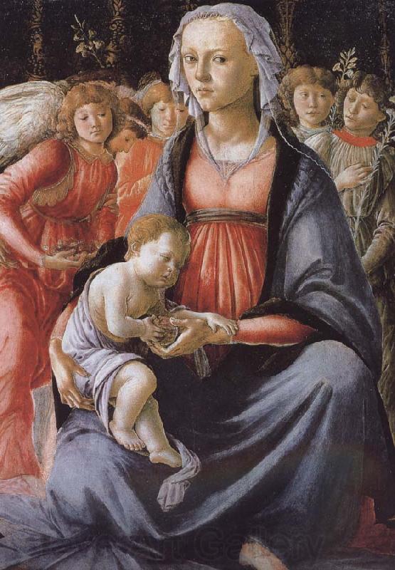 Sandro Botticelli Our Lady of Angels with five sub Spain oil painting art